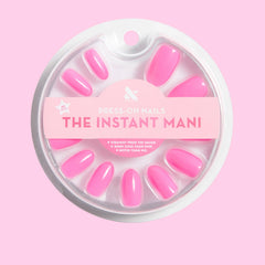 Neon Flamingo | Oval | Medium